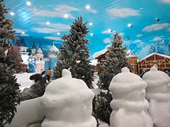 -世界之窗阿尔卑斯冰雪世界