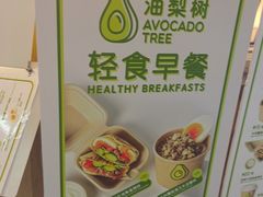 -油梨树AVOCADO TREE(望京店)