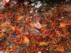 -AEON永旺(东方宝泰店)