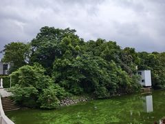 -艾溪湖湿地公园