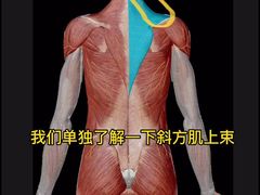 -蓉府金足印象影院式足道·按摩·SPA·美食(青白江31分店)
