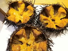 活烤海胆-海胆小馆(东北水饺·春柳店)