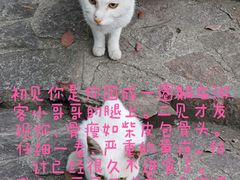-汇龙潭