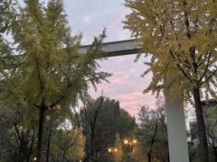 -西安曲江寒窑遗址公园
