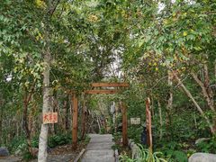 -白草畔自然风景区