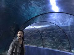 -南昌海洋公园