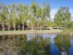 -千姿湖生态旅游景区