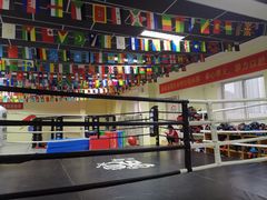 -拳义格斗搏击散打泰拳拳击俱乐部(裕华店)