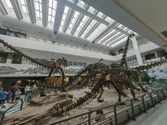 -中国地质大学逸夫博物馆
