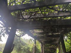 -大雁山风景区