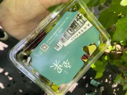 -太湖雪蚕桑文化园