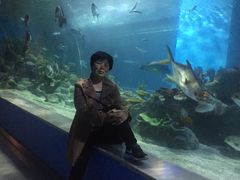-常州海昌海洋探索馆
