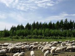 -塞罕坝国家级自然保护区