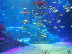 -沈阳海洋探索中心