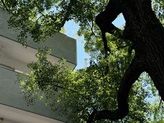 -湖北美术学院(昙华林校区)