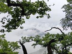 -栾川竹海野生动物园