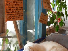 -Babycat私家御饼屋(龙头路一店)