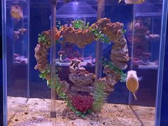 -太平洋海底世界