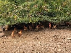 -生态苑农庄(十里画廊遇龙河店)