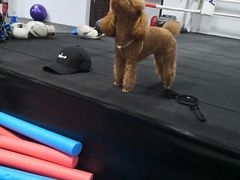 -FIGHTMAN格斗俱乐部(长宁临空店)