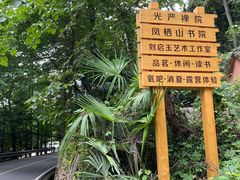 -凤栖山