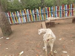 -西部长青自然儿童乐园