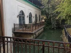 -美宁肥牛(旗舰店)