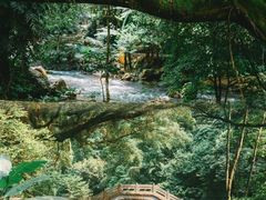 -广州市石门国家森林公园