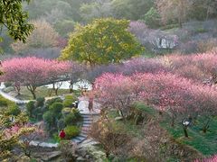 -鼓岭旅游度假区