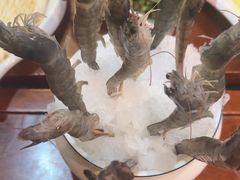 -洪焱重庆老火锅(万福花园店)