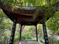 -上海醉白池公园
