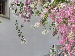 -深圳国际园林花卉博览园