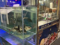 水产区-成都老码头火锅(旺角店)