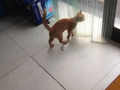 -黑皮酸菜鱼(三山街店)