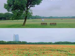 -山明水秀大饭店