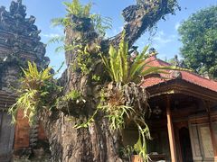 -Warung Babi Guling Ibu Oka 3