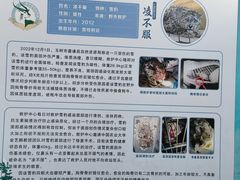 -青藏高原野生动物园