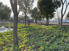 -上海山野camping·户外天幕烧烤·团建拓展营地