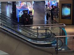 -PAWTOY爪e玩偶店(天兴罗斯福店)