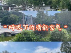 -墨池公园