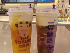 -一只酸奶牛(八一路店)