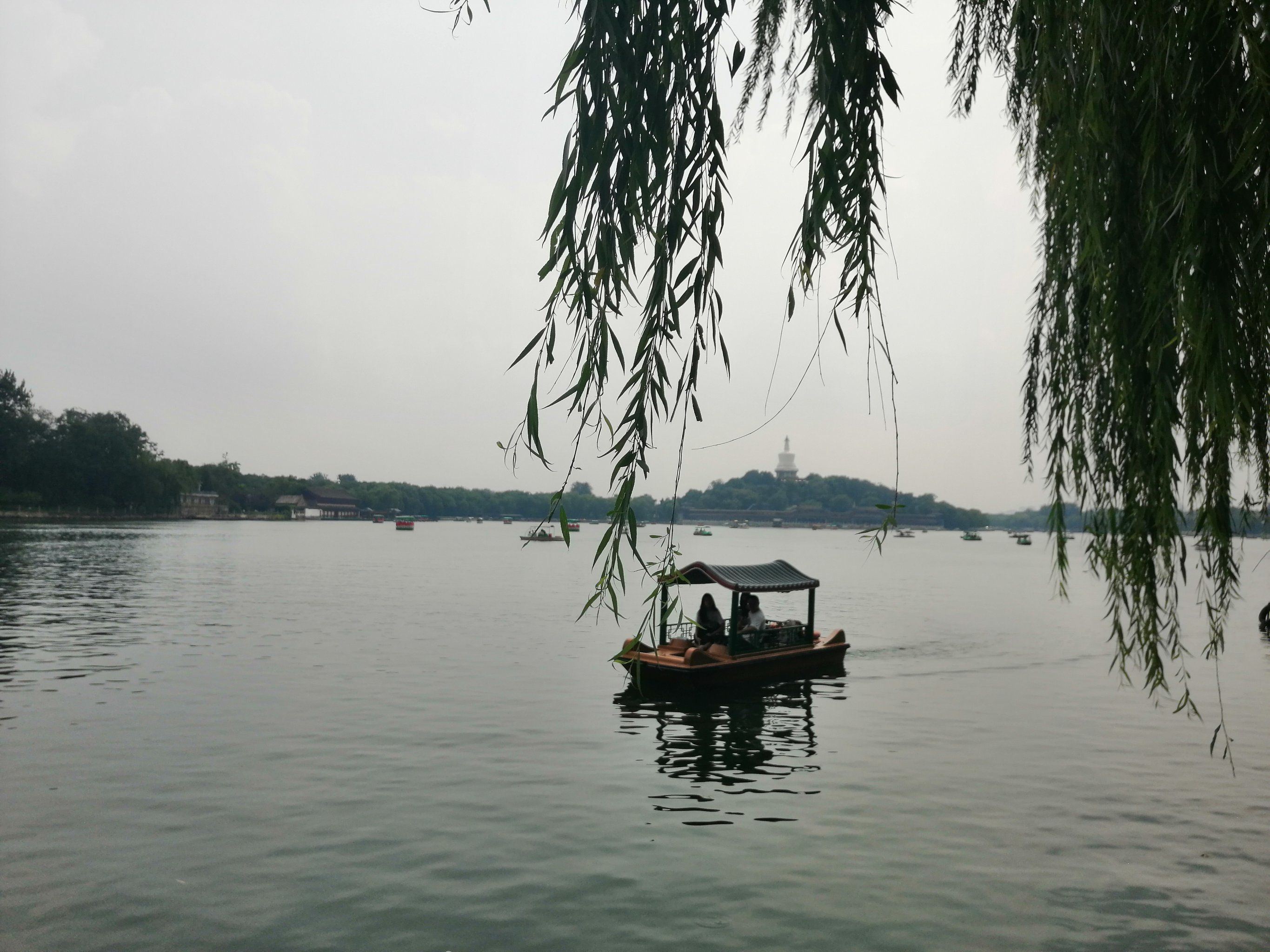 让我们荡起双桨,

小船儿推开波