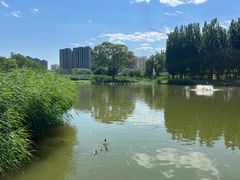 -将府公园