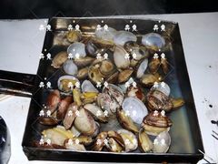 烤蛤蜊-二红烧烤排骨串(麦岛店)