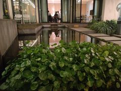 -大理老字号·舟渔的鱼野生菌海景餐厅(双廊店)