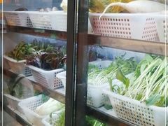 -藏味八珍特色火锅