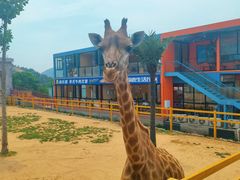 -西霞口神雕山野生动物世界