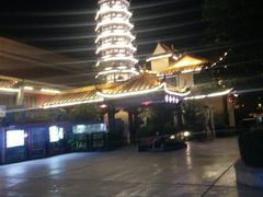 -郑州方特梦幻王国