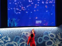 -沈阳海洋探索中心