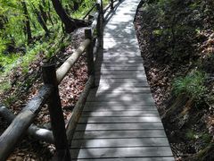 -北京上方山国家森林公园